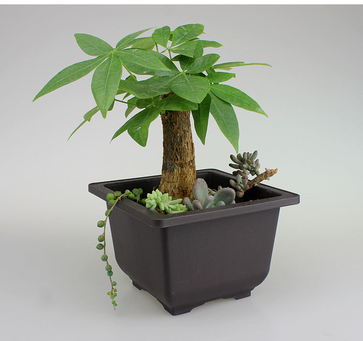 Garden supplies antique plant plastic flowerpot - Prime Warehouse