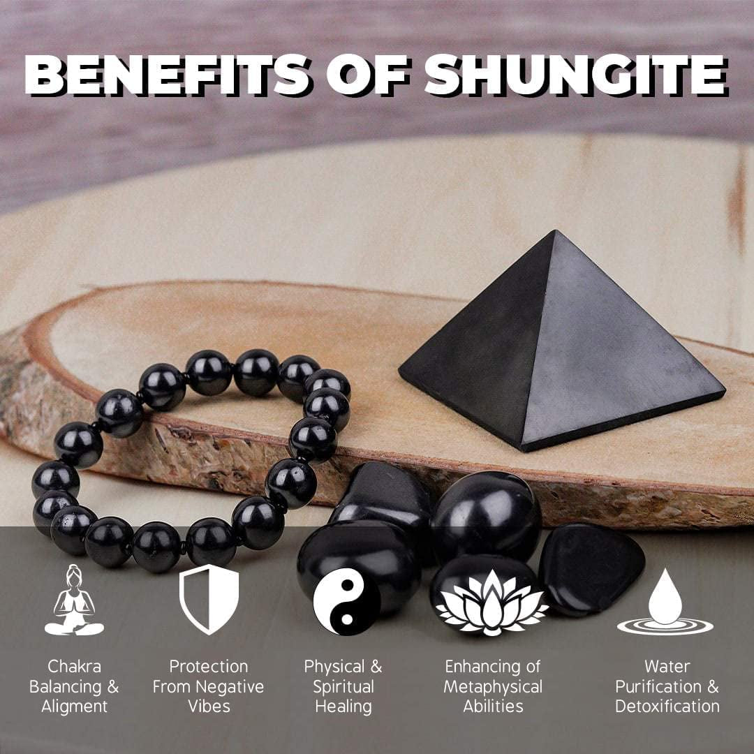 Shungite Elite Stones for Water Purification | Silvery Shine Raw Elite Noble Shungite Detoxification Stones for Water Filtering | Natural and Authentic Shungite Nuggets from Karelia (25G)