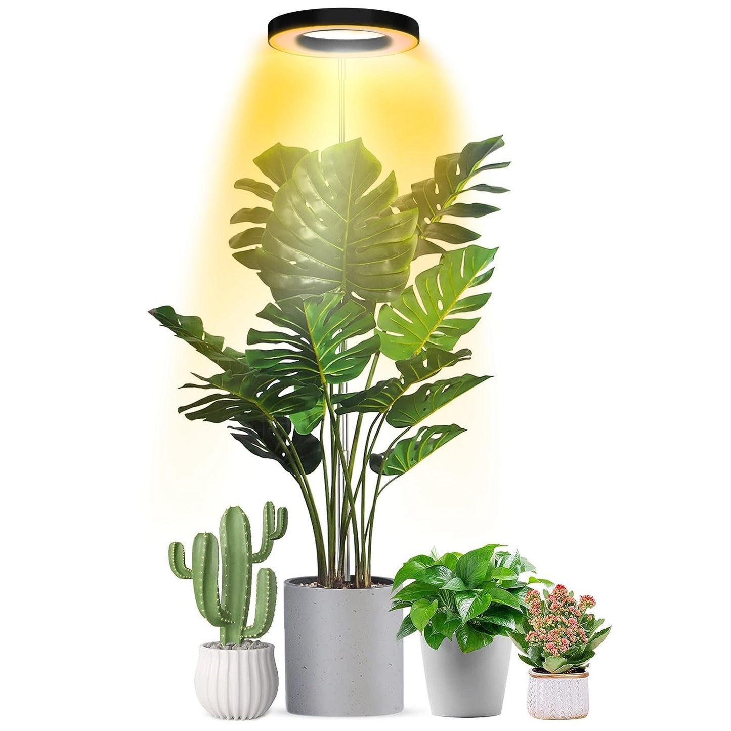 1Pc Plant Grow Light LED Full Spectrum Circle Growing Lamp With 3-9-12Hours Auto Timer Setting Height Adjustable For Indoor Plants