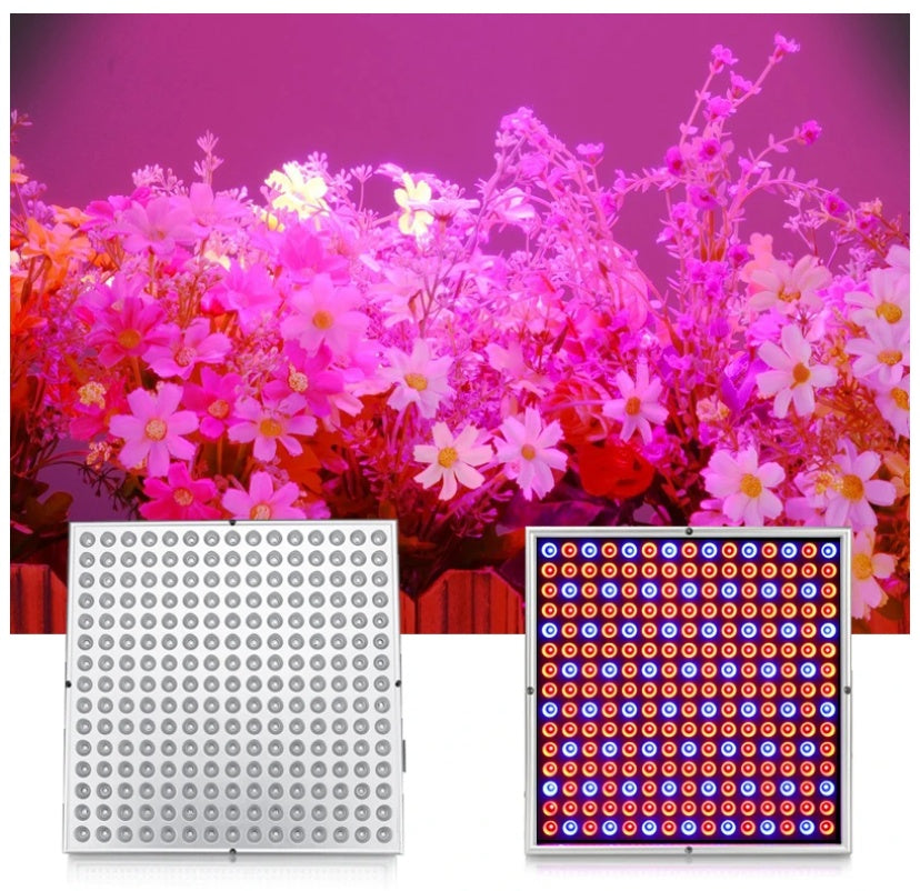 Plant Light 225 Beads 45W LED Lamp Plant Growth Lamp - Prime Warehouse