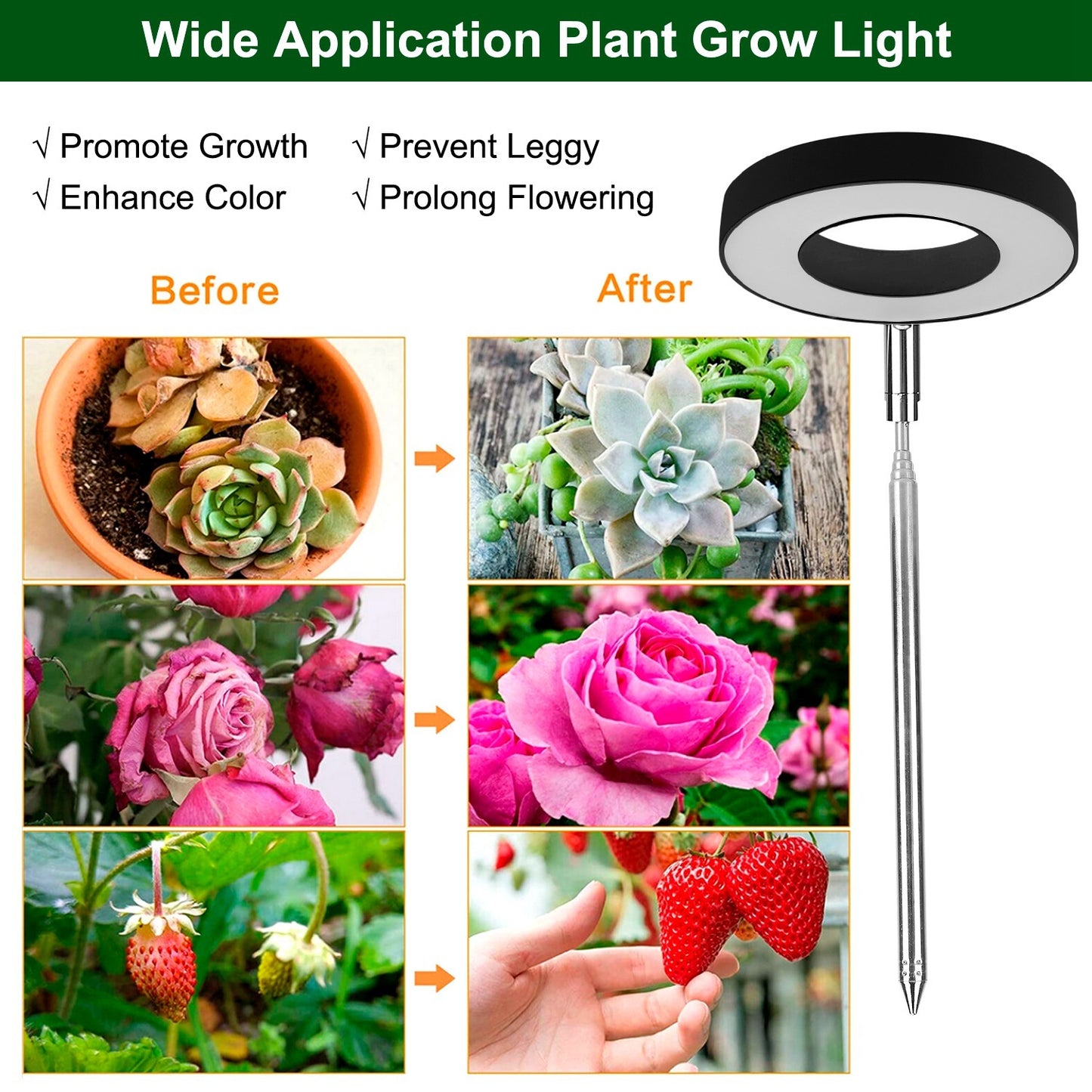1Pc Plant Grow Light LED Full Spectrum Circle Growing Lamp With 3-9-12Hours Auto Timer Setting Height Adjustable For Indoor Plants