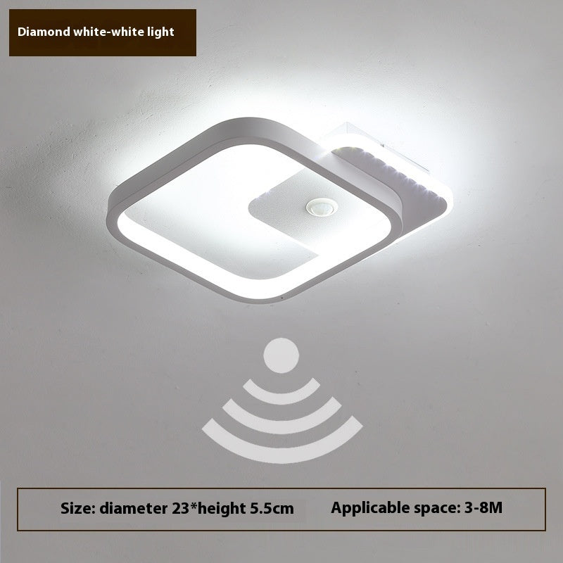Human Led Induction Lamp Aisle Corridor Ceiling Lamp