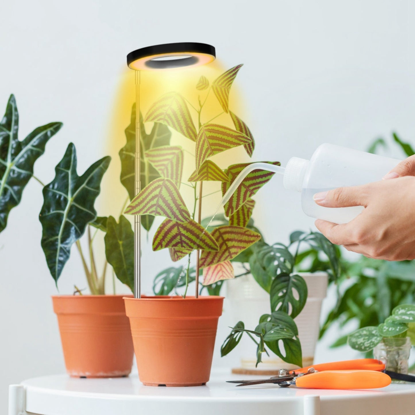 1Pc Plant Grow Light LED Full Spectrum Circle Growing Lamp With 3-9-12Hours Auto Timer Setting Height Adjustable For Indoor Plants