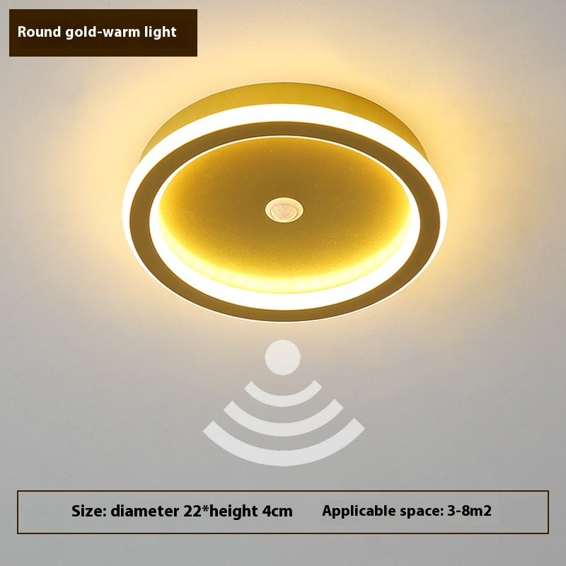 Human Led Induction Lamp Aisle Corridor Ceiling Lamp