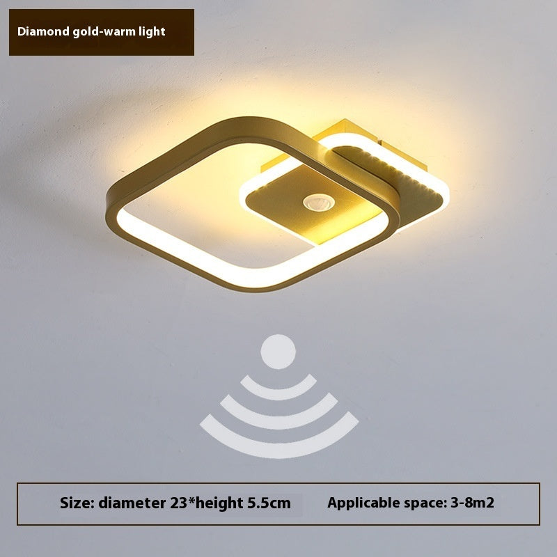 Human Led Induction Lamp Aisle Corridor Ceiling Lamp