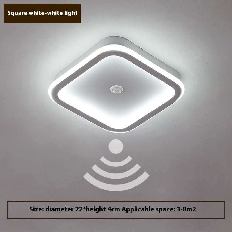 Human Led Induction Lamp Aisle Corridor Ceiling Lamp