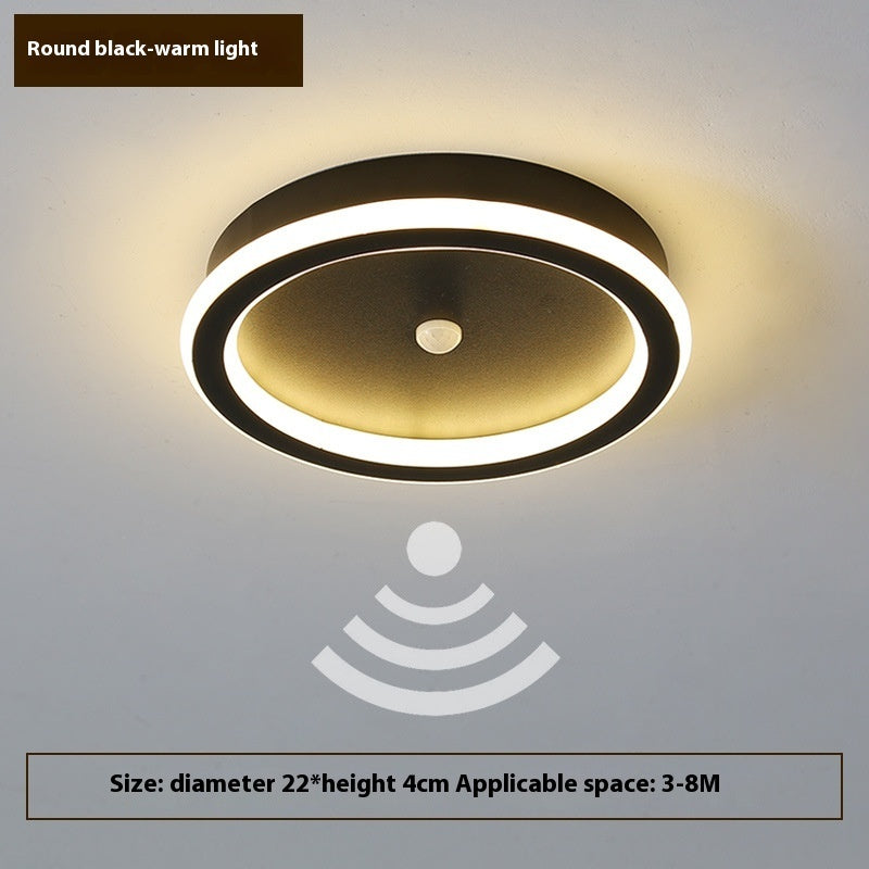 Human Led Induction Lamp Aisle Corridor Ceiling Lamp