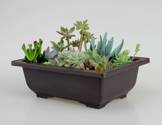 Garden supplies antique plant plastic flowerpot - Prime Warehouse