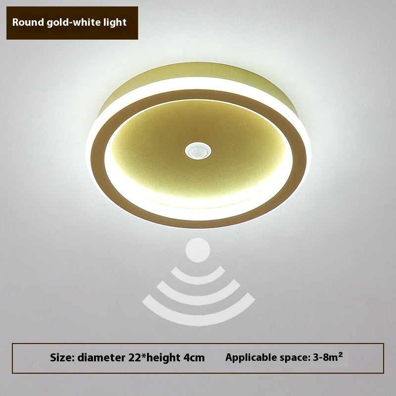 Human Led Induction Lamp Aisle Corridor Ceiling Lamp