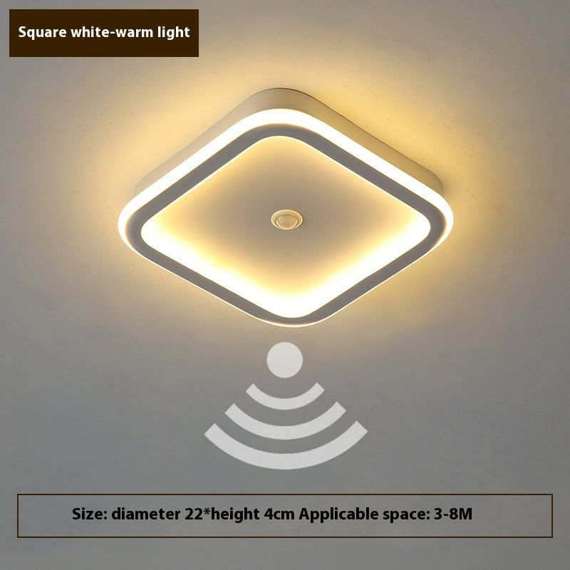 Human Led Induction Lamp Aisle Corridor Ceiling Lamp
