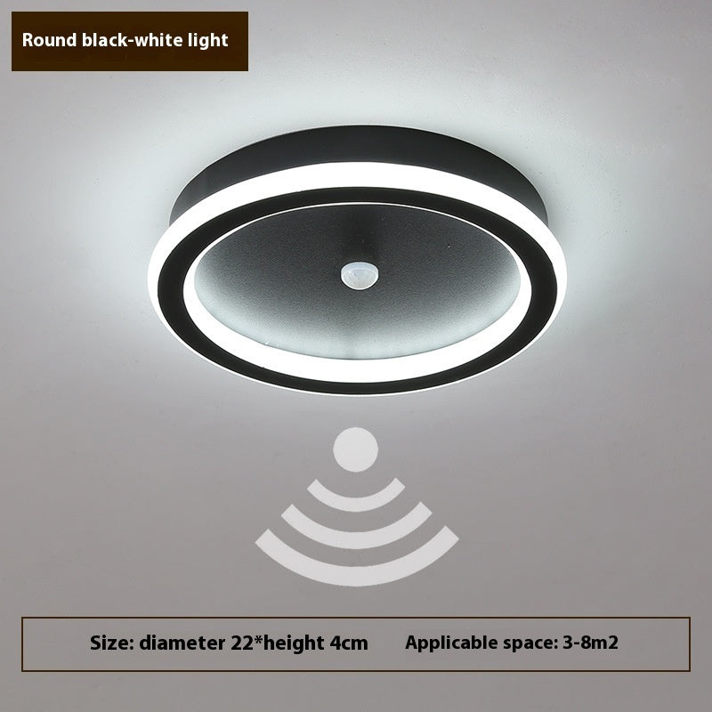 Human Led Induction Lamp Aisle Corridor Ceiling Lamp